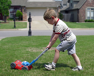 Let a Pro mow your yard.